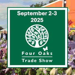 Four Oaks