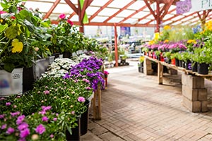trade credit insurance guarantee for garden centres
