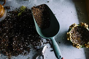Gardening deemed critically important